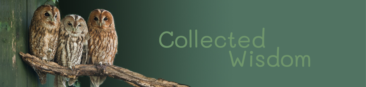 Collected Wisdom